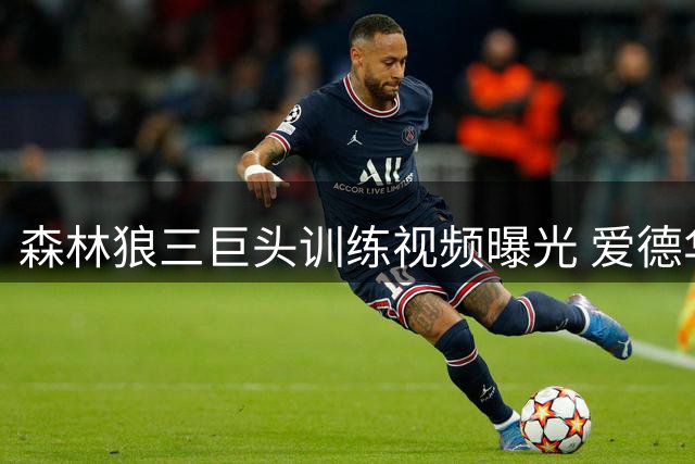 森林狼三巨头训练视频曝光 爱德华兹领衔上演高水准对抗